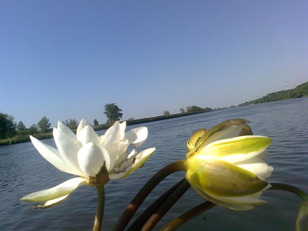 Homestay Nad Odra Widuchowa