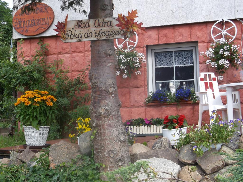 Homestay Nad Odra Widuchowa