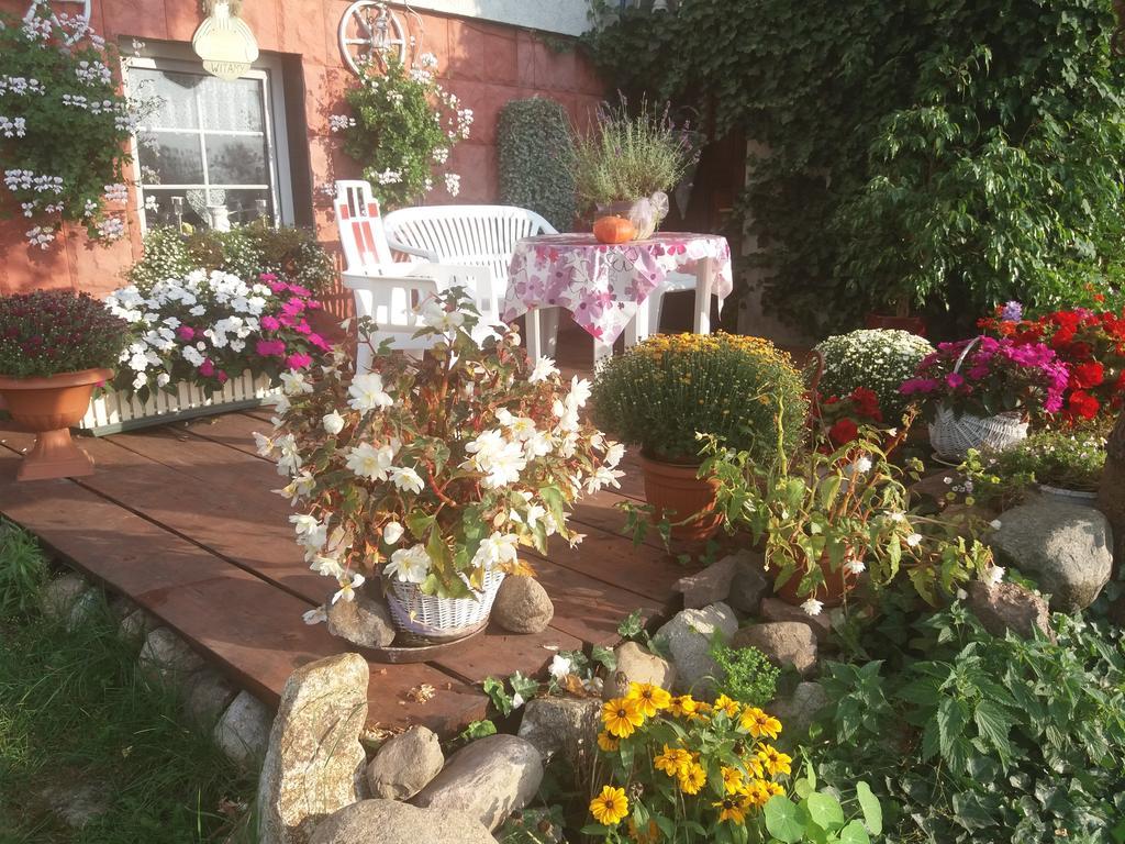 Homestay Nad Odra Widuchowa