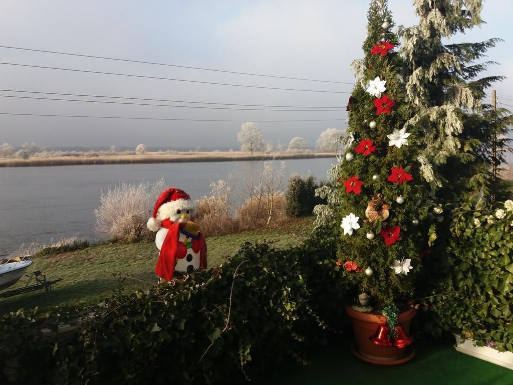 Homestay Nad Odra Widuchowa
